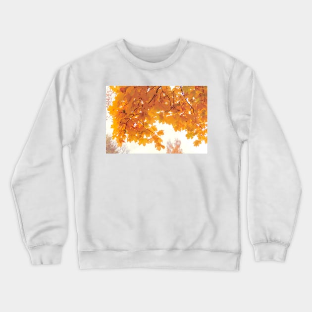 Golden maple leaves in autumn season Crewneck Sweatshirt by lena-maximova